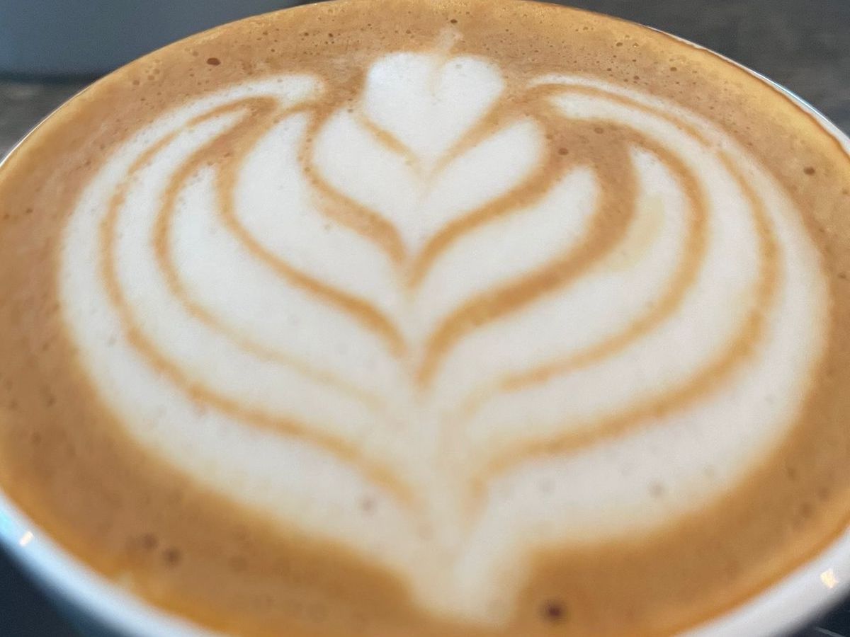 An oat latte at Established Coffee in Belfast