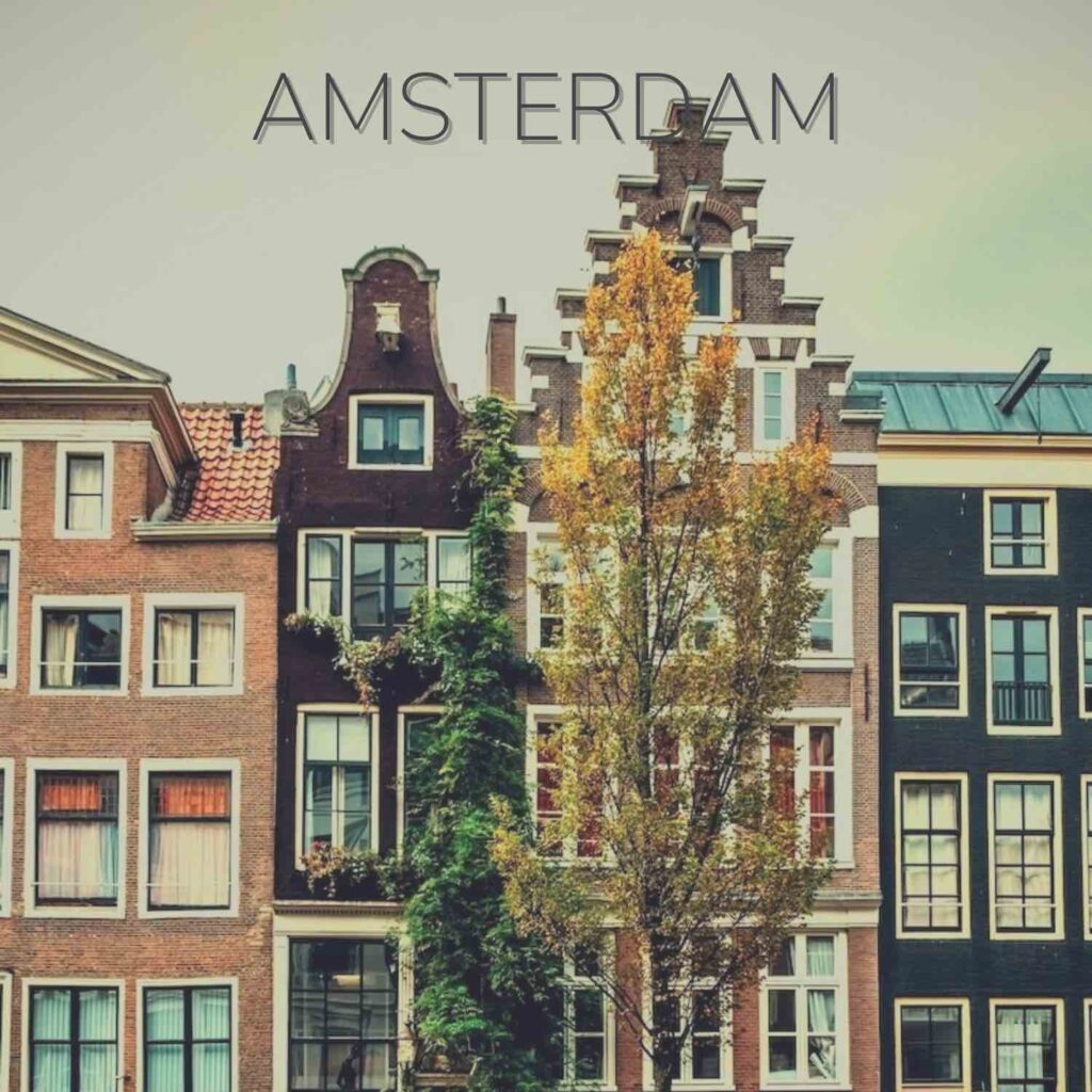 Amsterdam vegetarian city guides