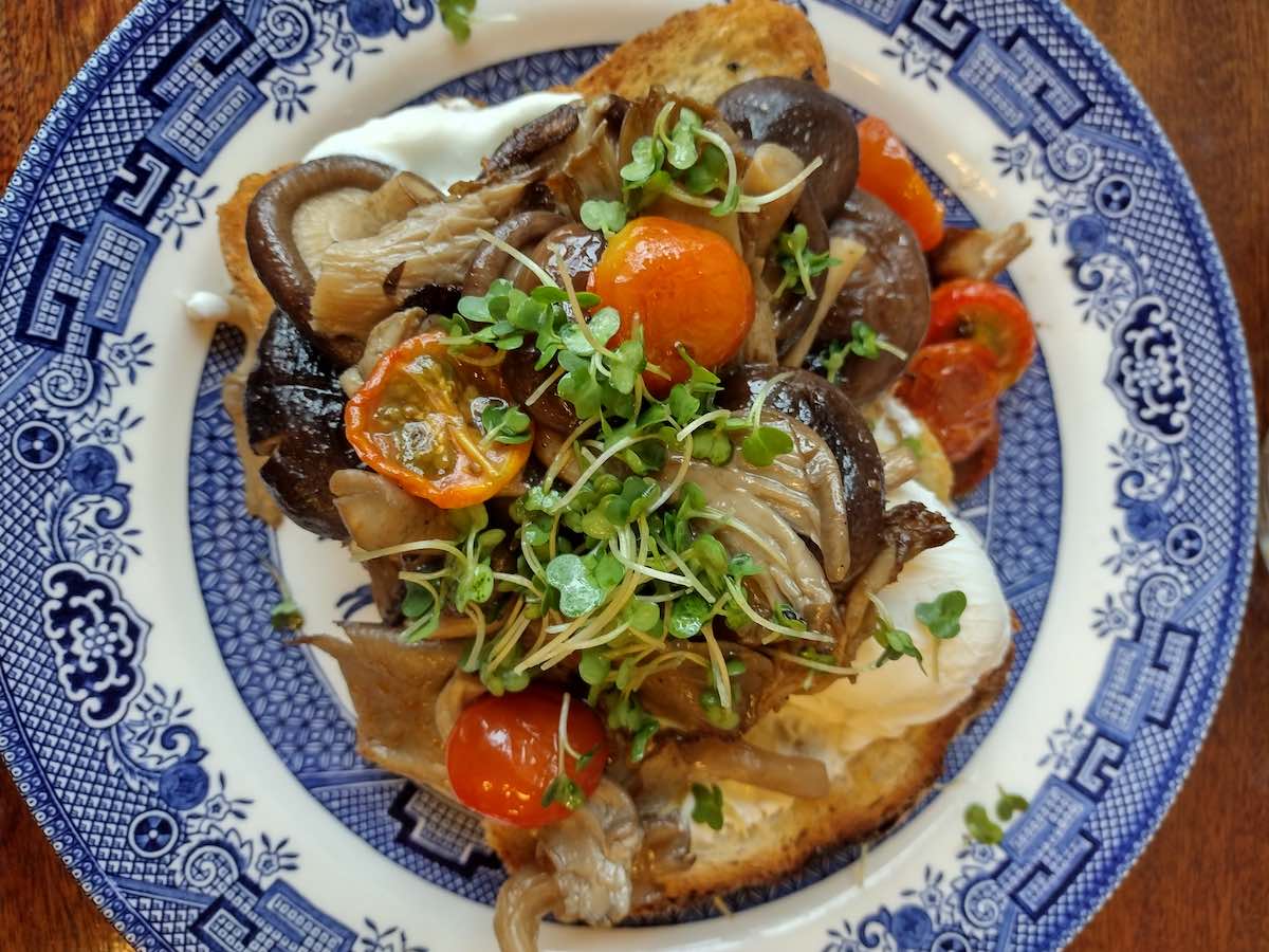 mushrooms on toast at belfast. Top spot on the MARVED food guide to Belfast