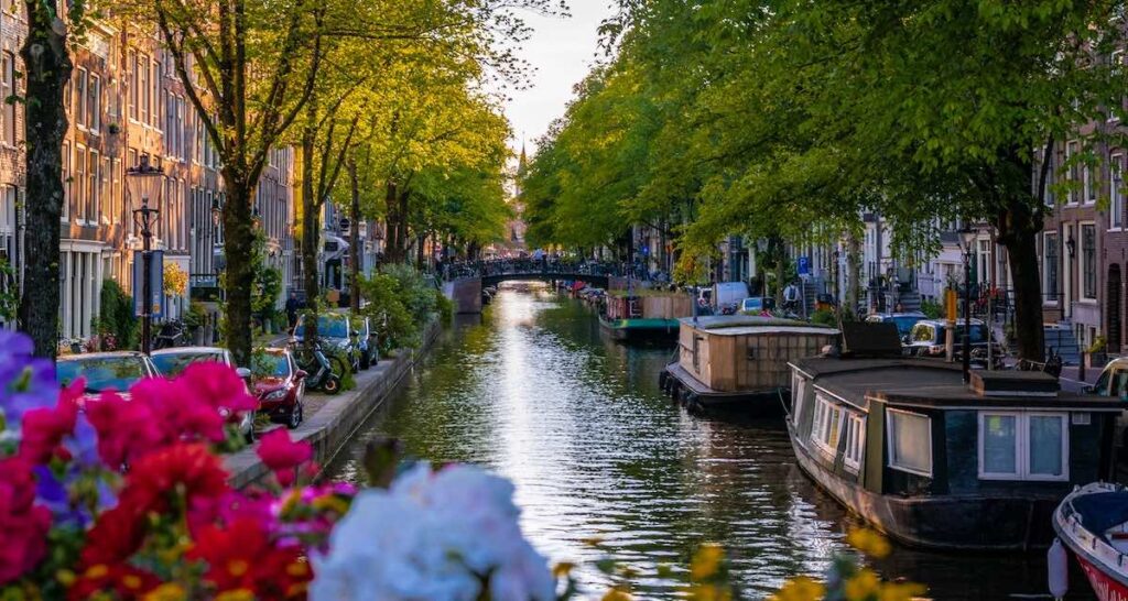 the canals of Amsterdam in summer